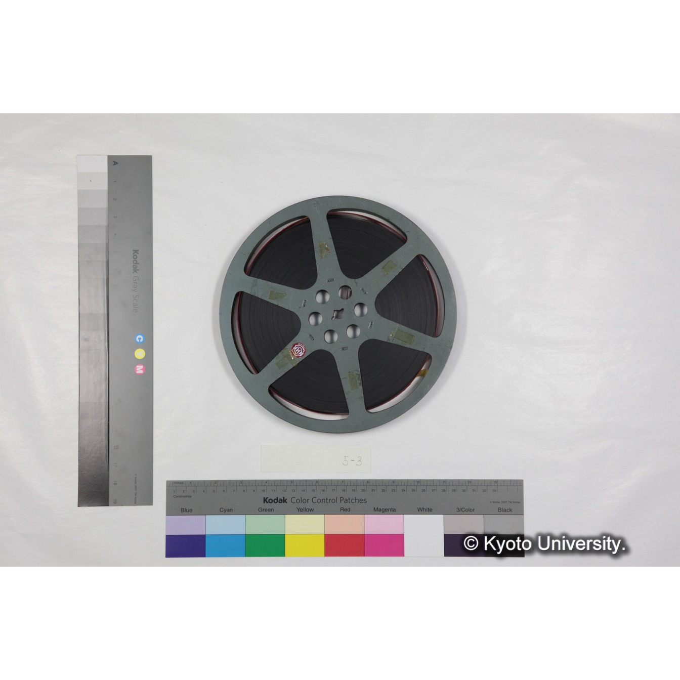 放送記録映像フィルム「自然のアルバム　高原のヒヒ」 (5)