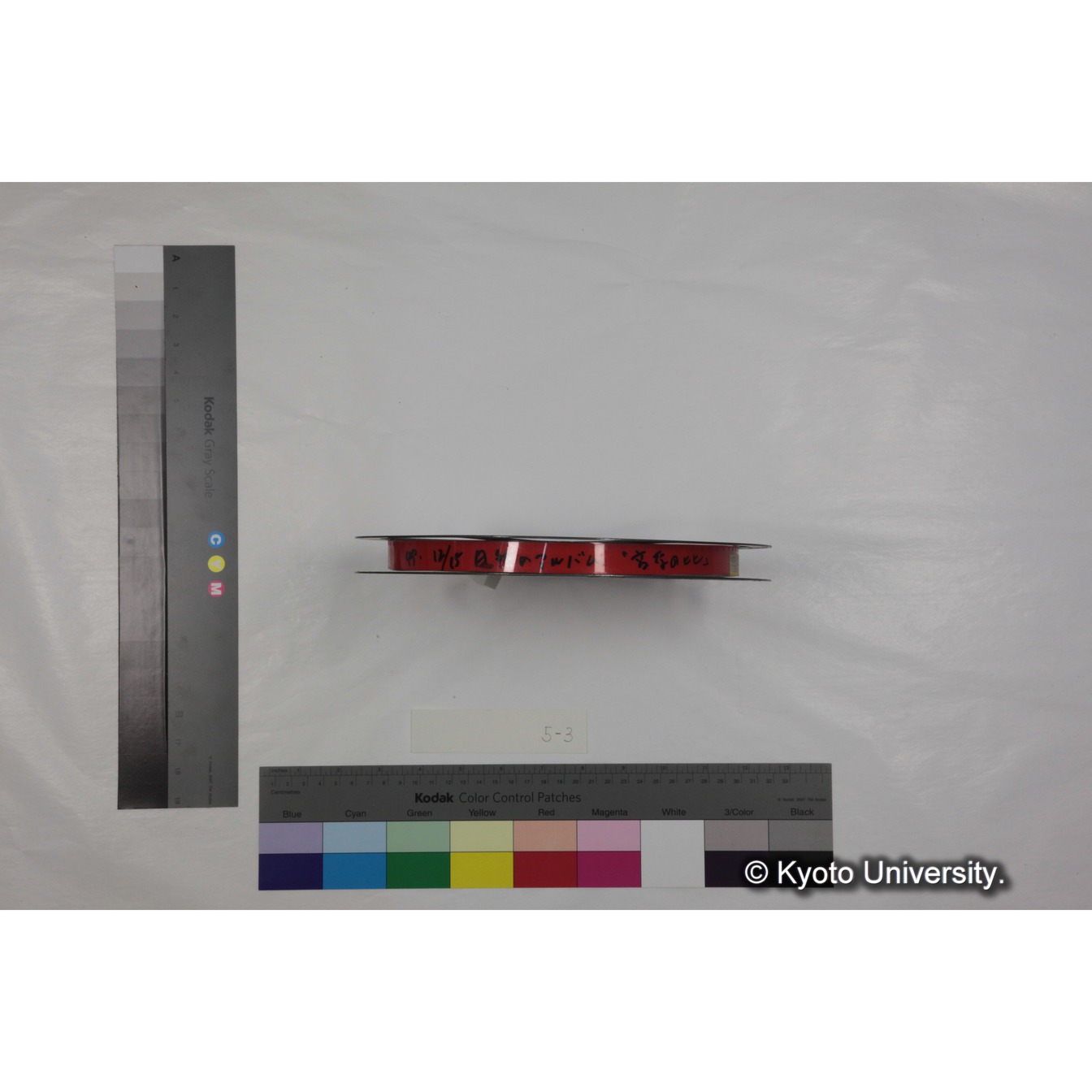 放送記録映像フィルム「自然のアルバム　高原のヒヒ」 (6)