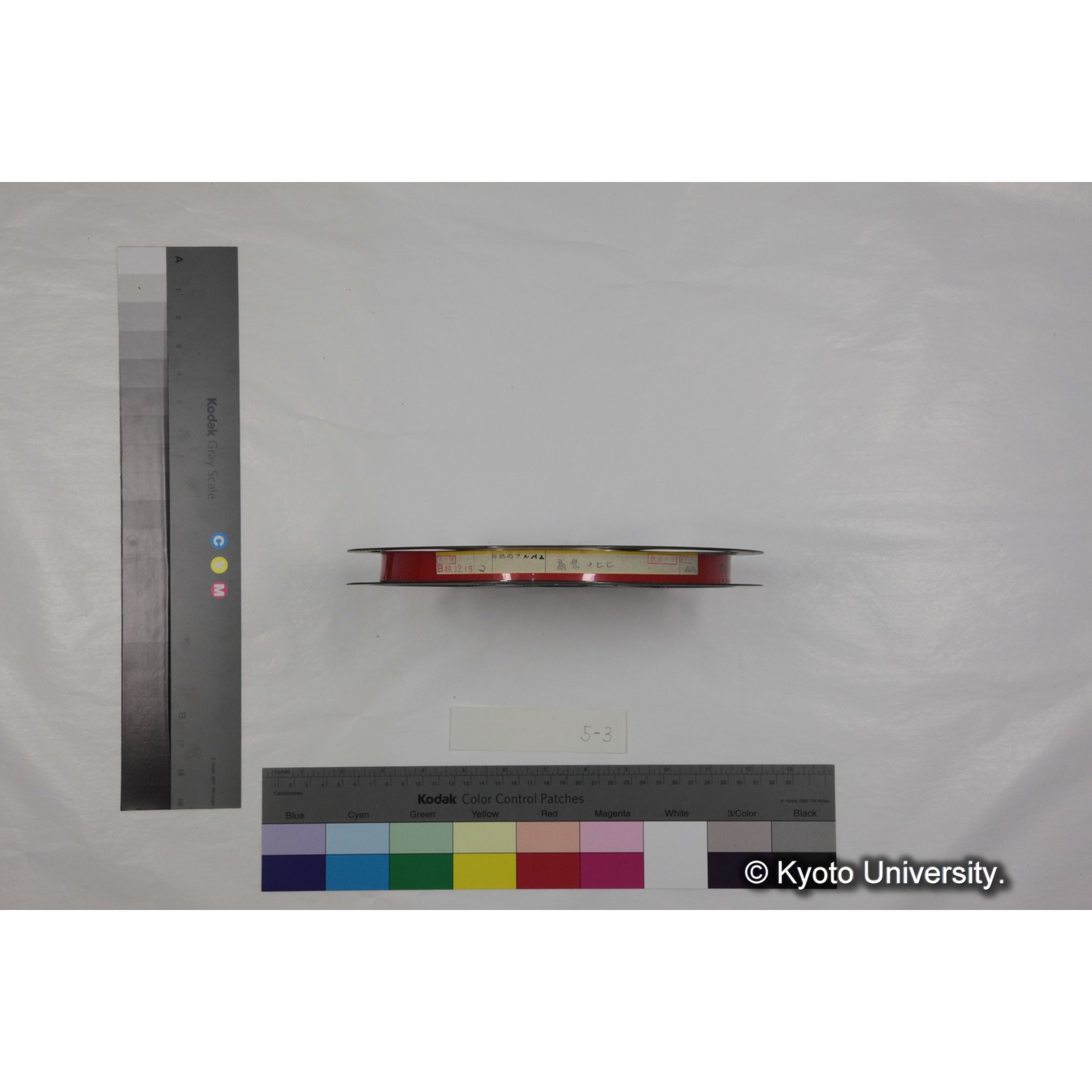 放送記録映像フィルム「自然のアルバム　高原のヒヒ」 (7)