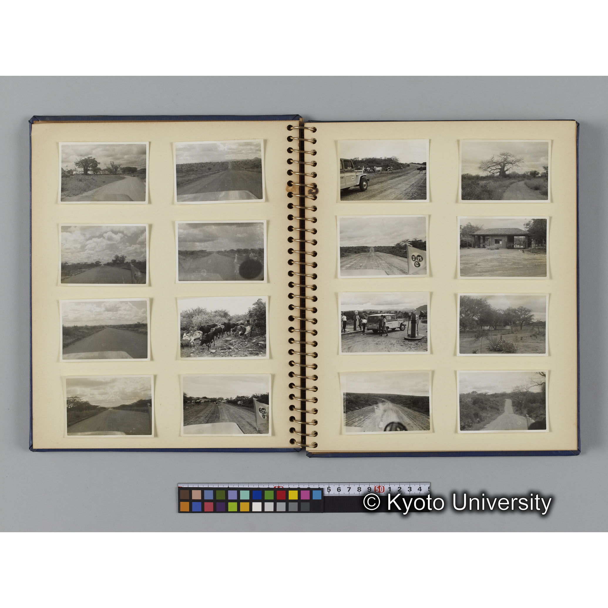 ゴリラ探検写真アルバム４「アフリカに到着」（紙焼き） (5)