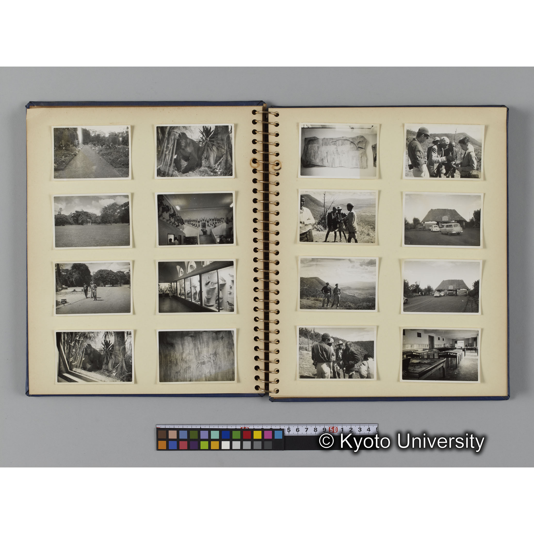 ゴリラ探検写真アルバム４「アフリカに到着」（紙焼き） (7)