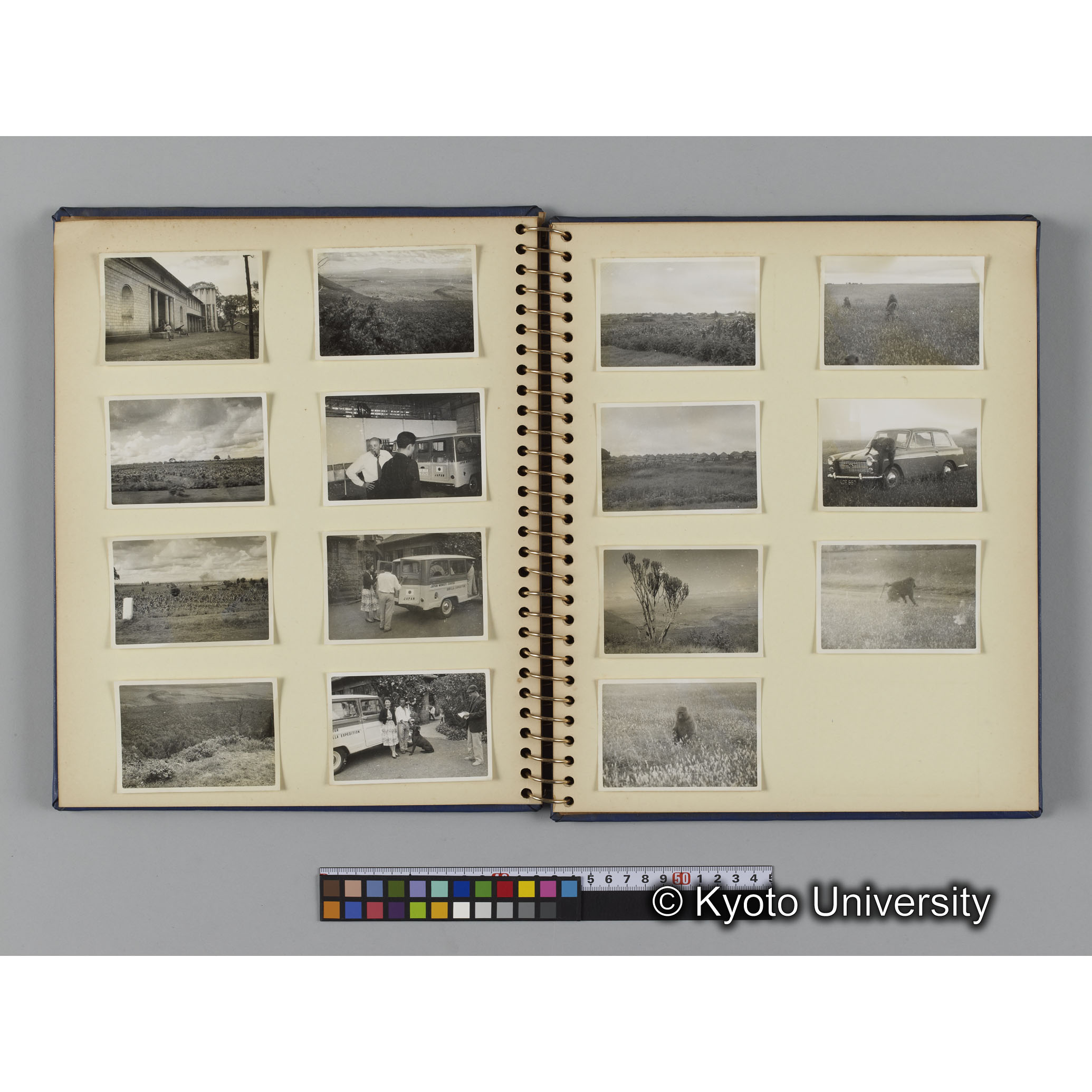 ゴリラ探検写真アルバム４「アフリカに到着」（紙焼き） (8)