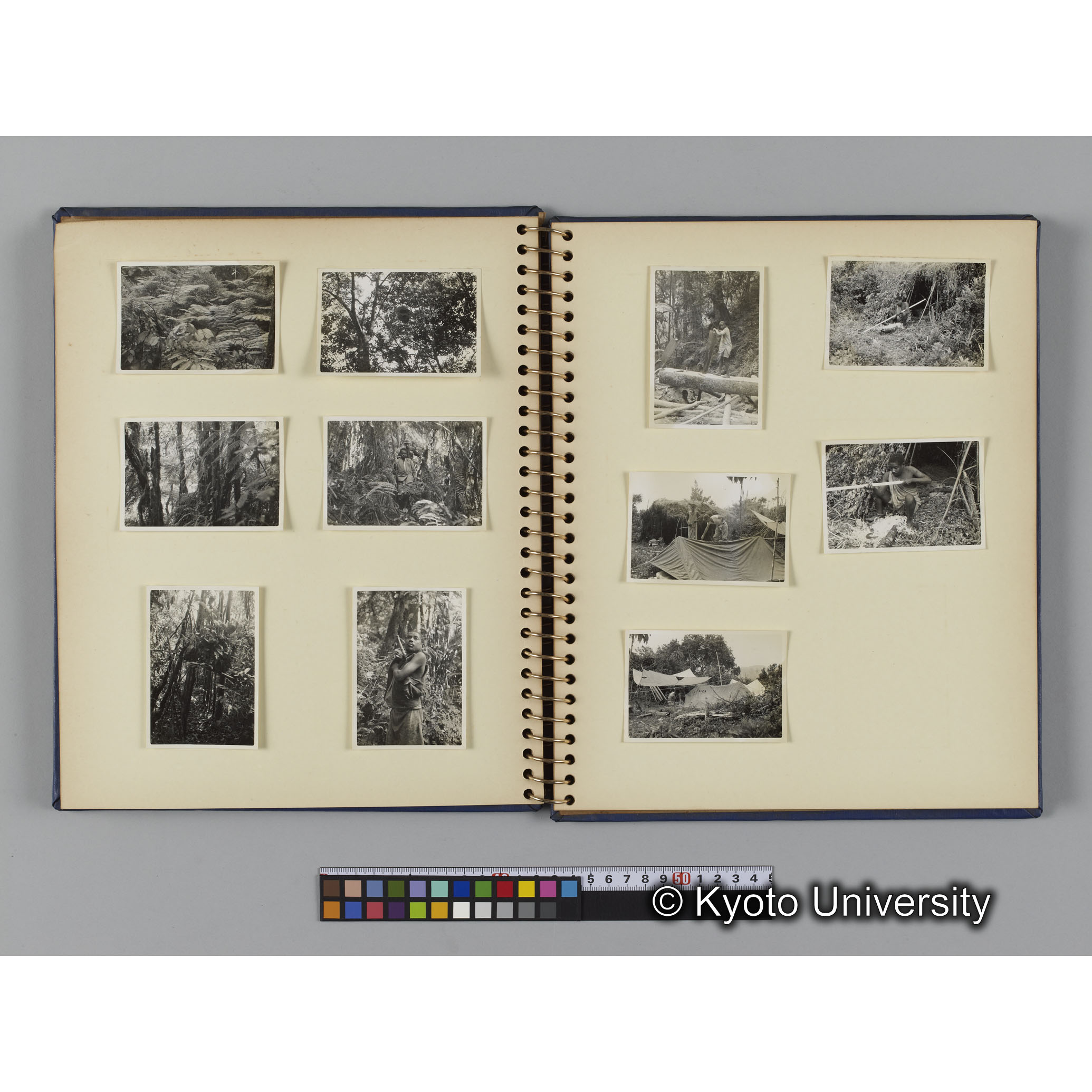 ゴリラ探検写真アルバム４「アフリカに到着」（紙焼き） (11)