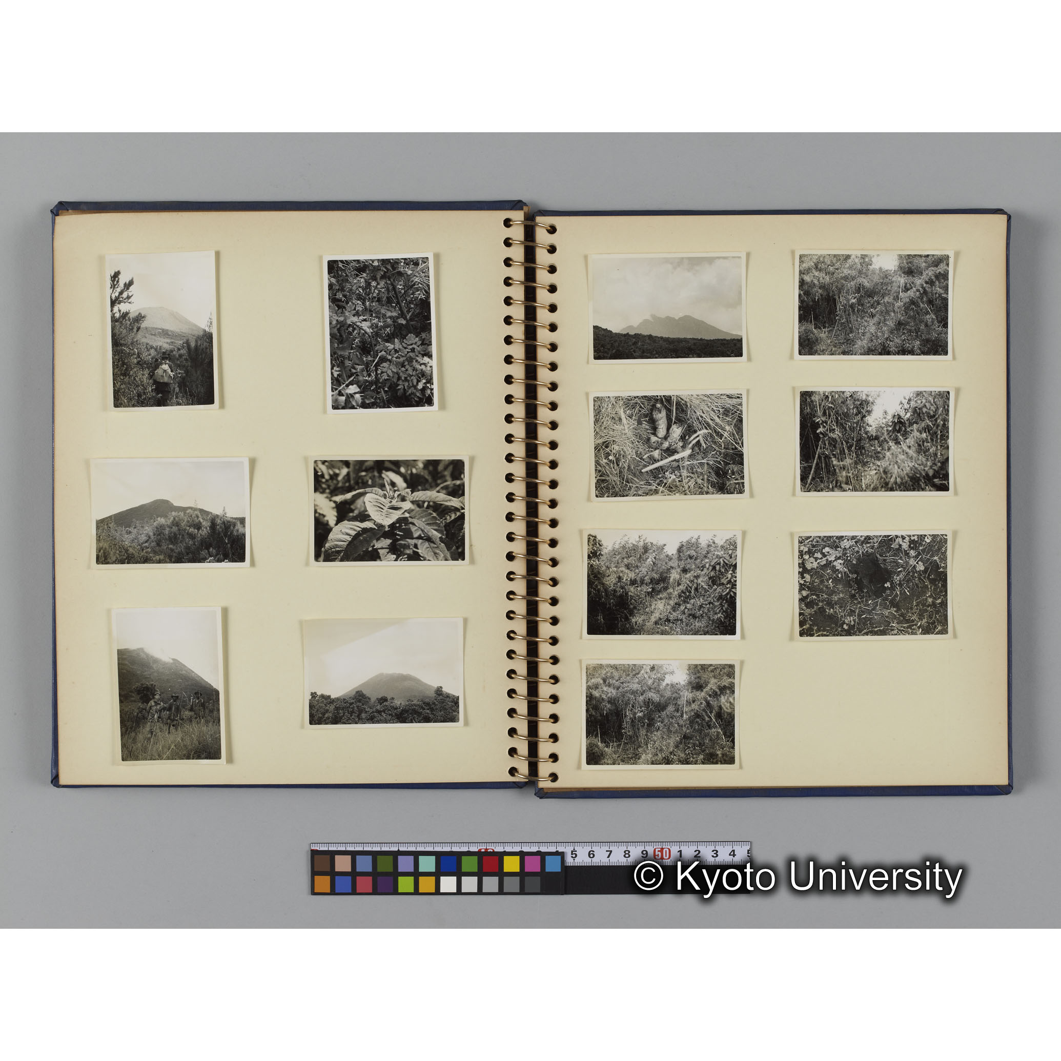 ゴリラ探検写真アルバム４「アフリカに到着」（紙焼き） (12)