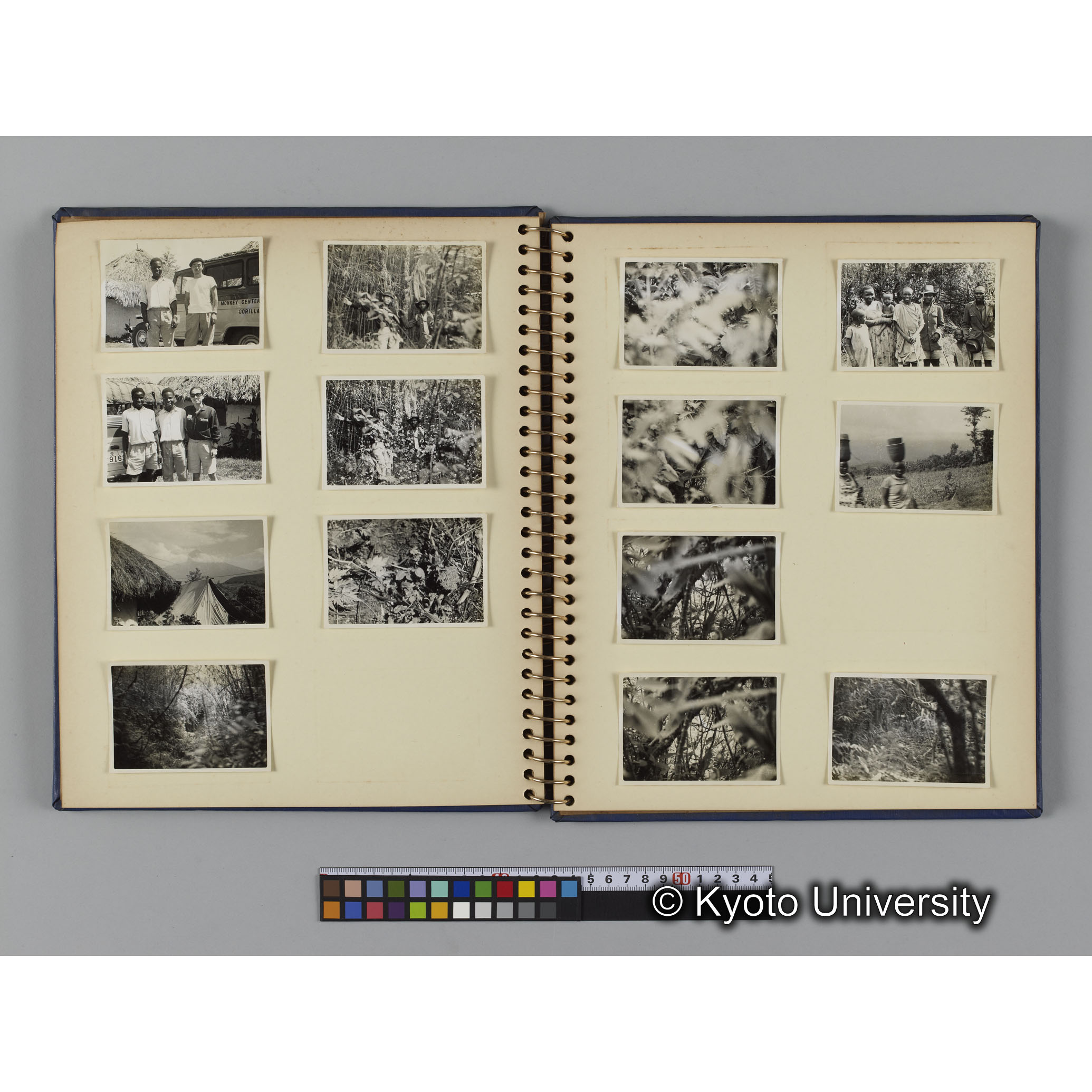 ゴリラ探検写真アルバム４「アフリカに到着」（紙焼き） (13)