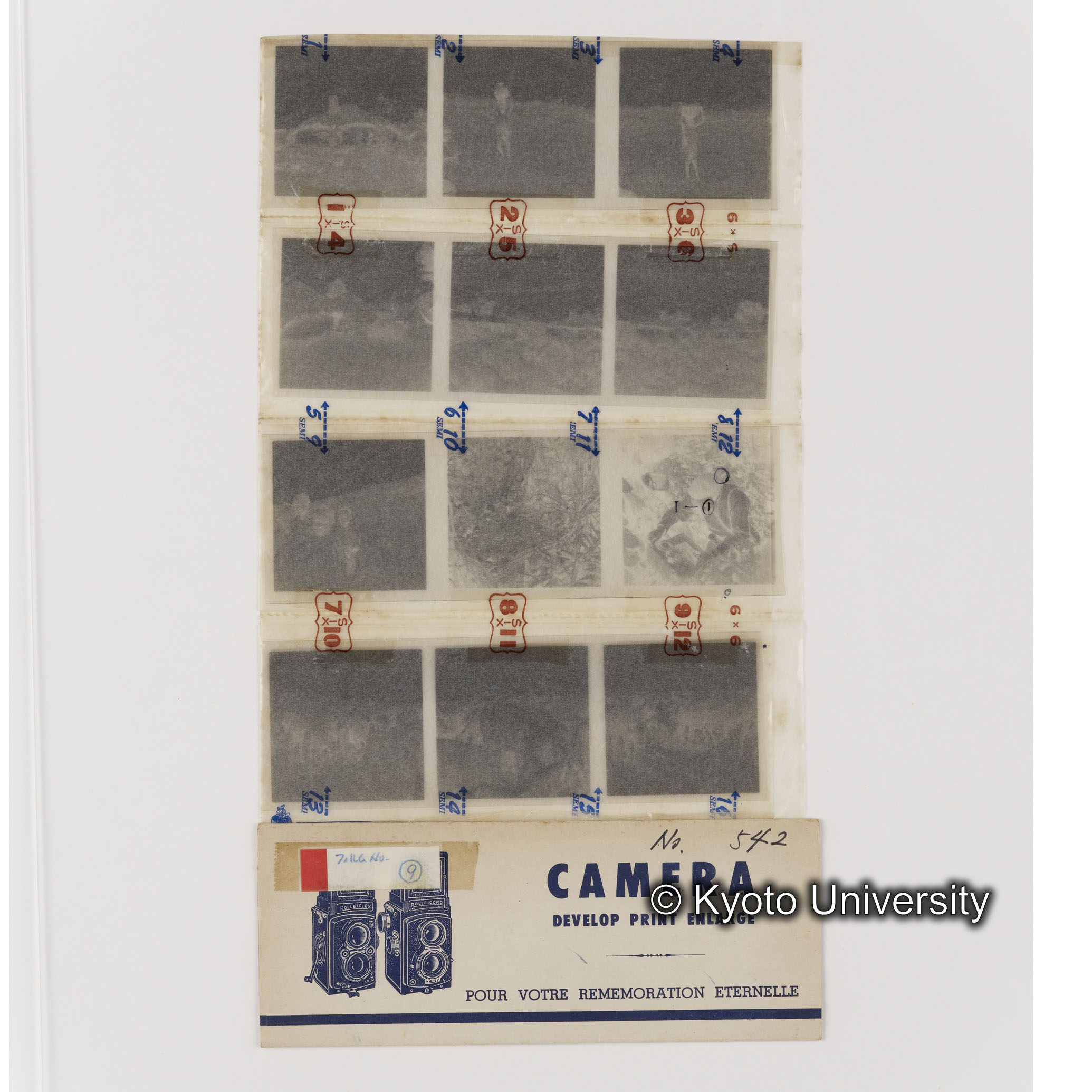 [ネガフィルムスリーブ10]「５４２」 (1)