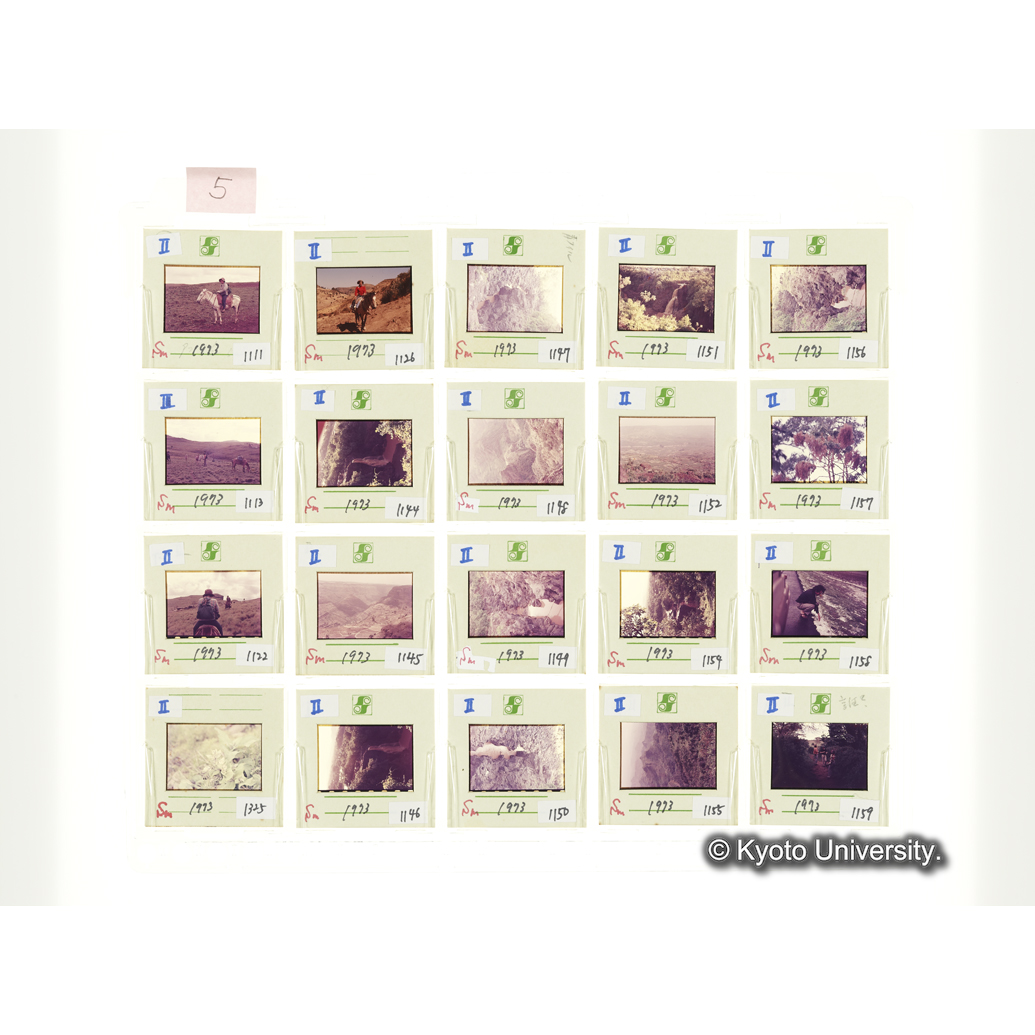 [スライドシート] 5 (1)