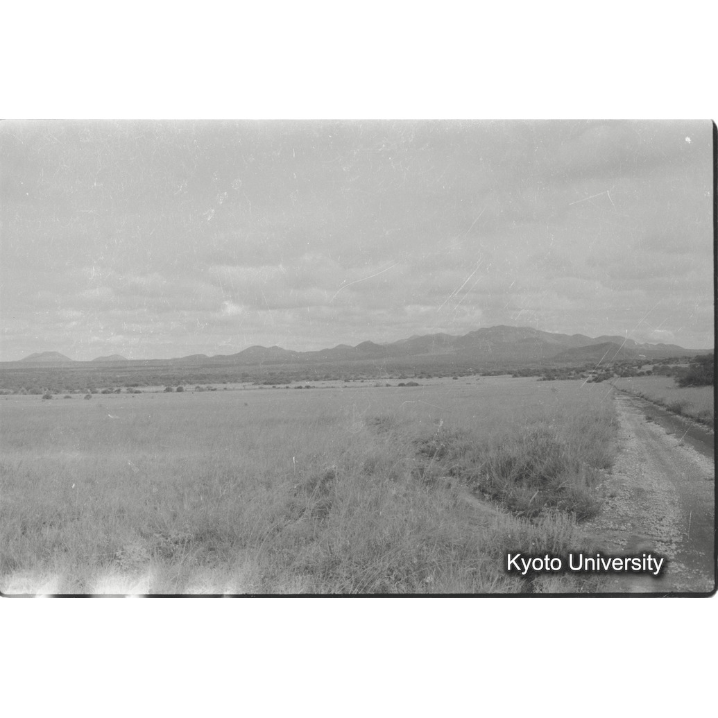 [2コマ目]「ツァボ国立公園」 (1)