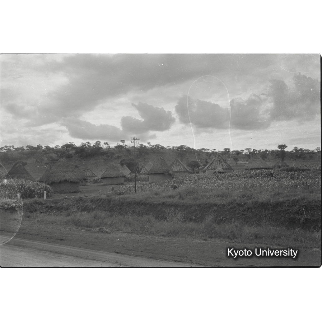 [29コマ目]「キクユ族の家」 (1)