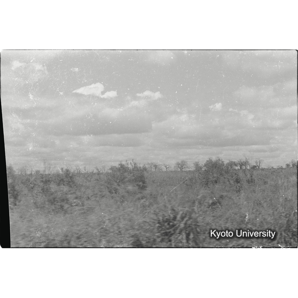 [33コマ目]「×」 (1)