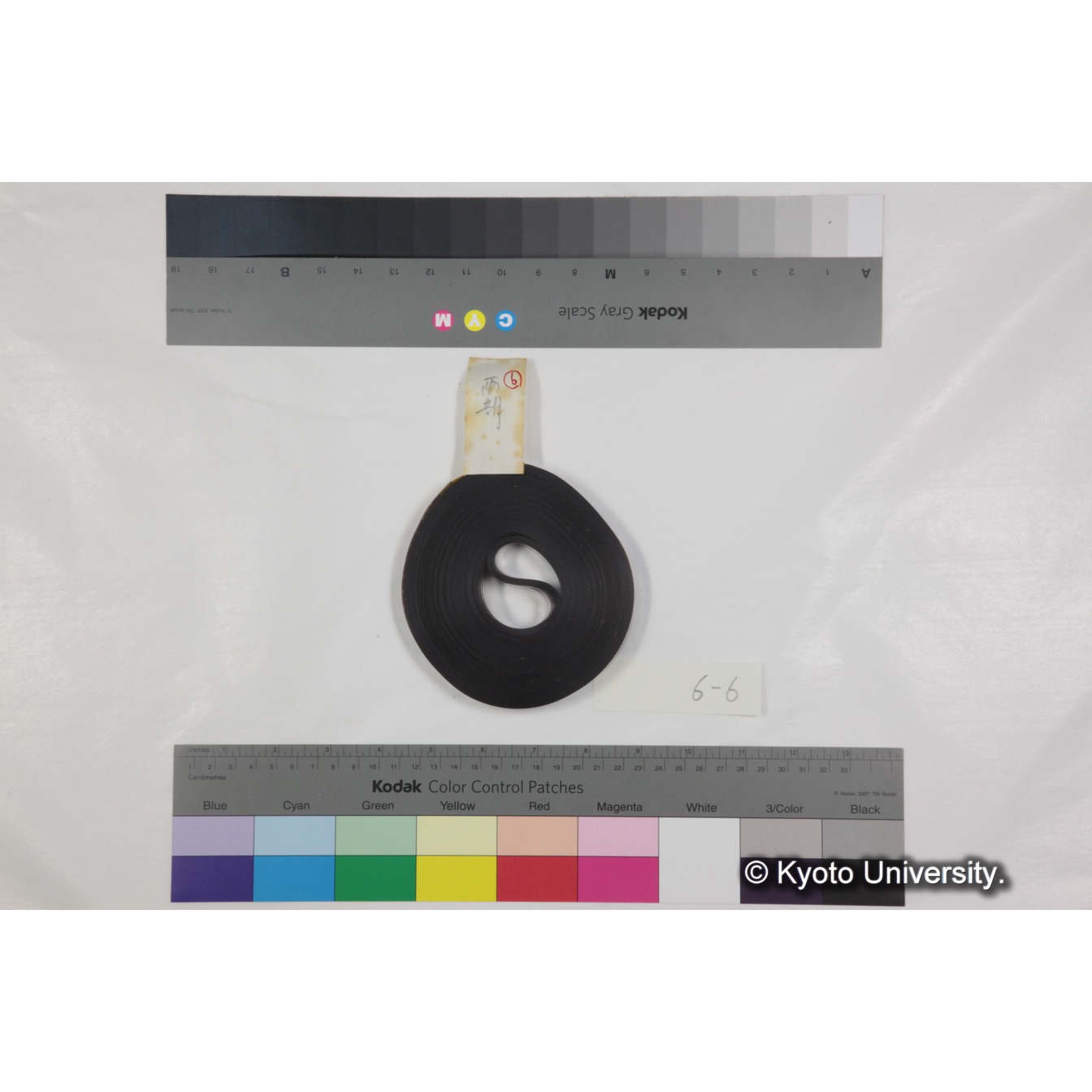 フッテージ６「雨期」 (3)