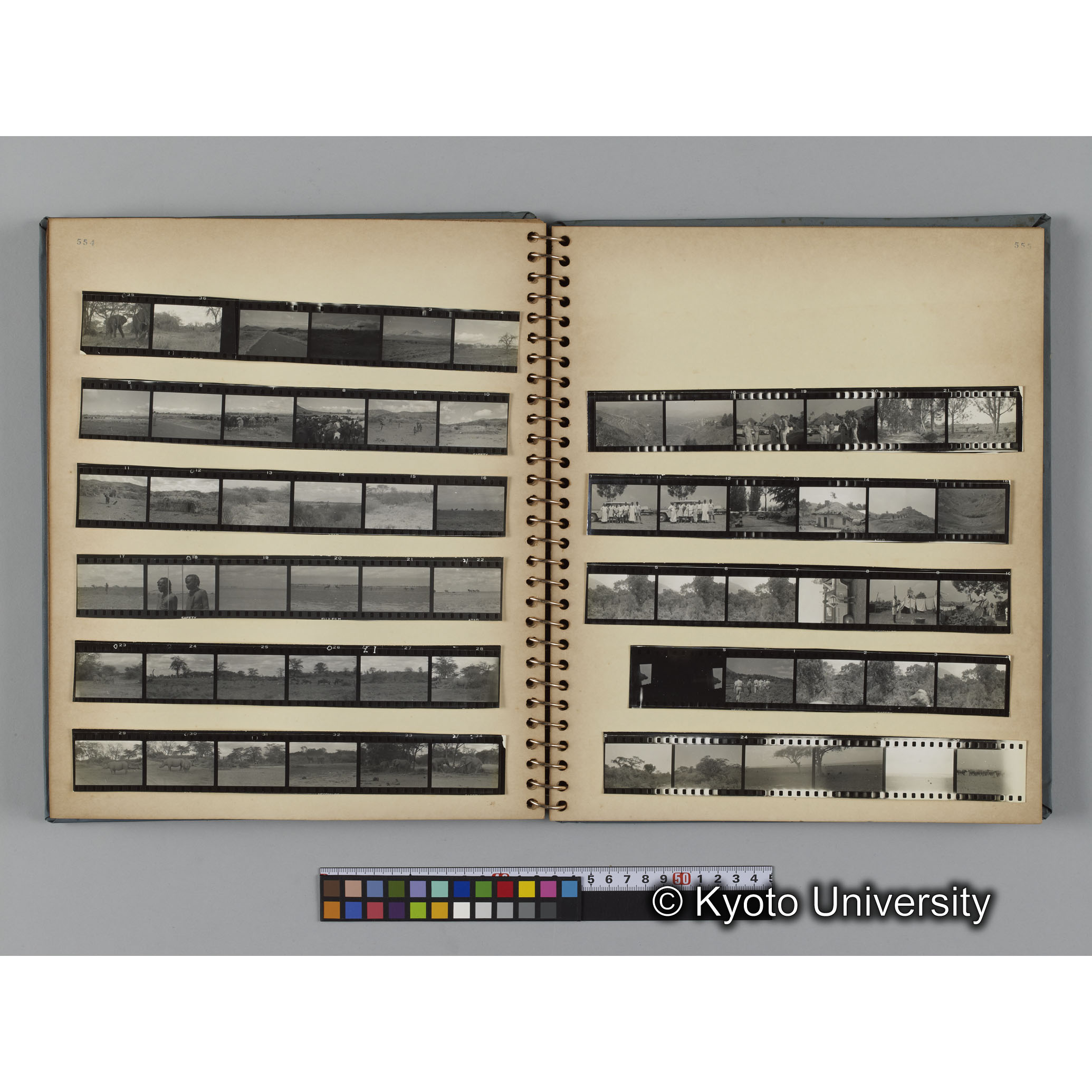 [見開き１４]ネガスリーブ554,555対応分 (1)