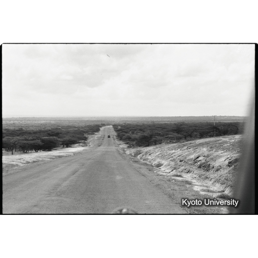 [３３コマ目]「サバンナを走る道」 (1)