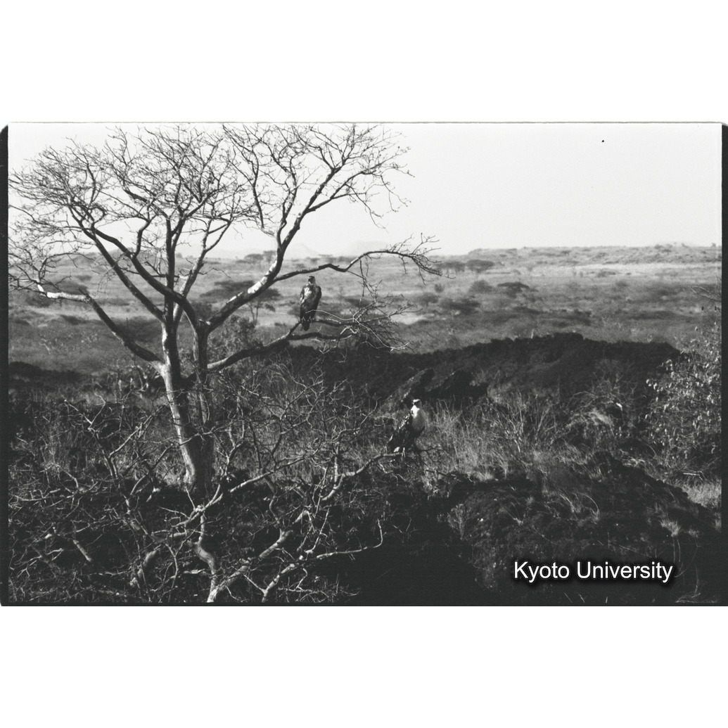 [４コマ目]「バッサカ湖を臨む」 (1)