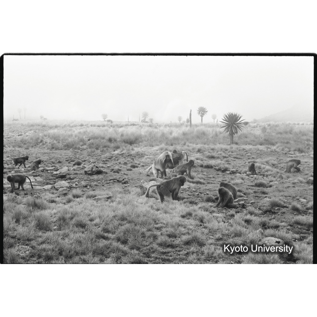 [２７コマ目]「アジスユニット（１）」 (1)