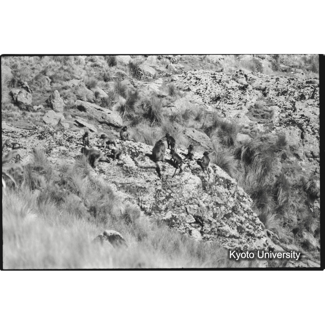 [２４コマ目]「休憩するユニット」 (1)