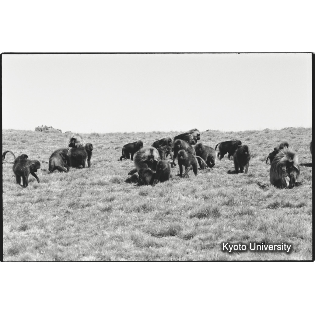 [１６コマ目]「３つのユニット」 (1)