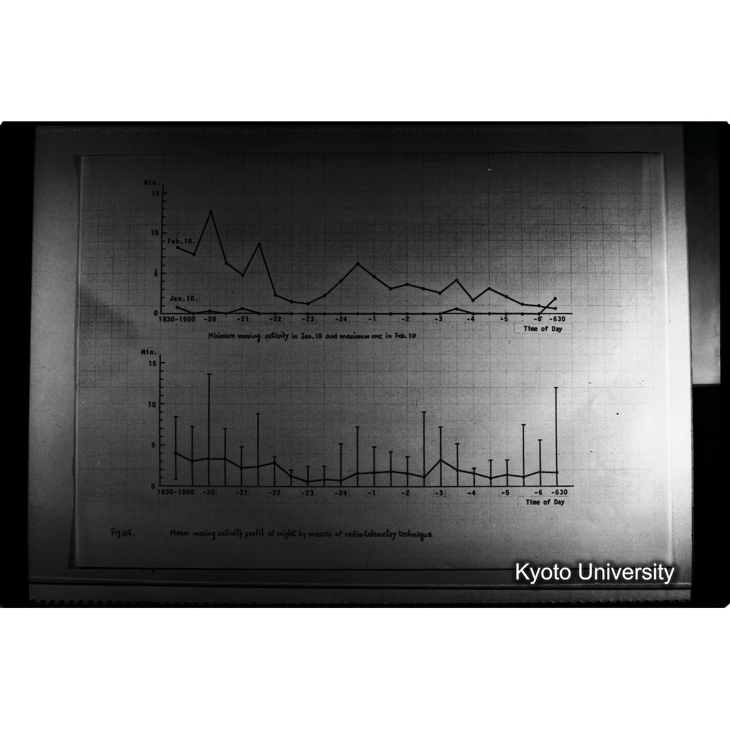[２１コマ目]「×」 (1)