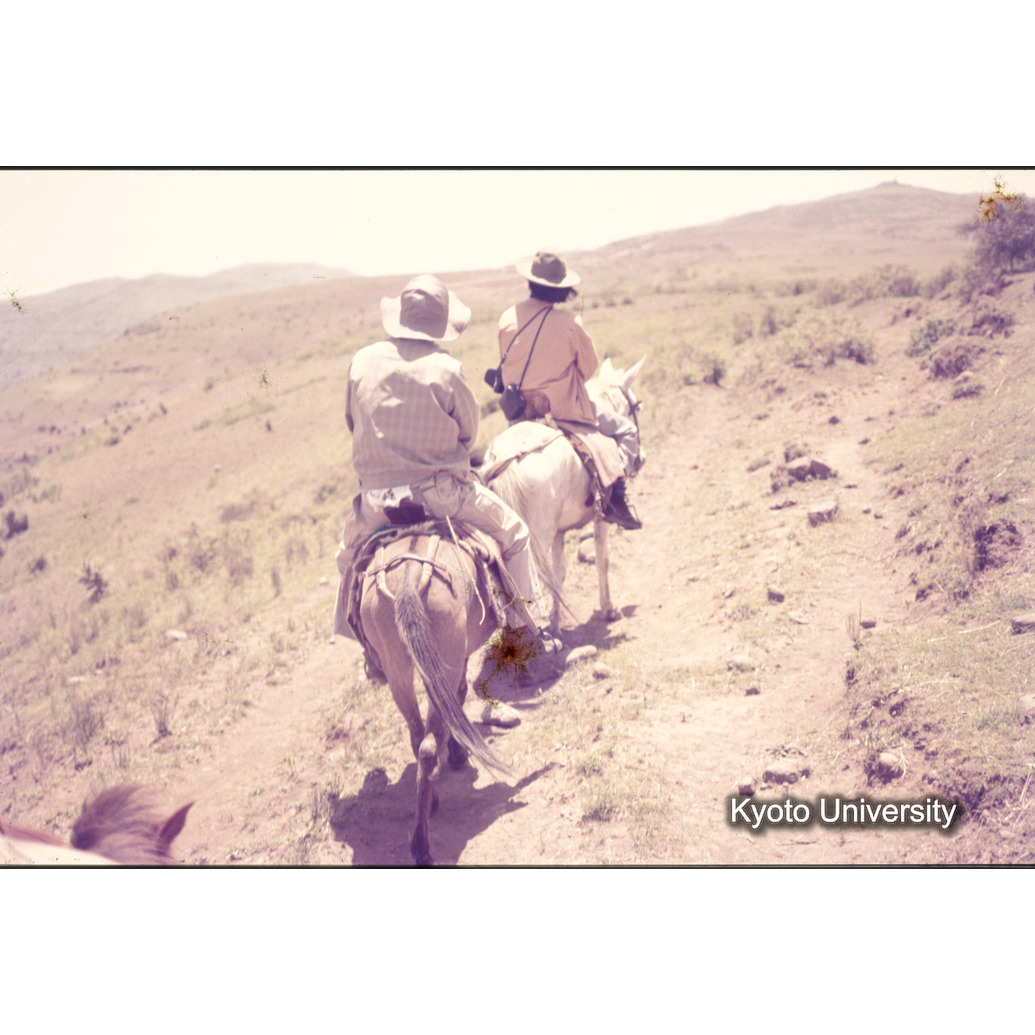 Sm　1973　1088 (1)