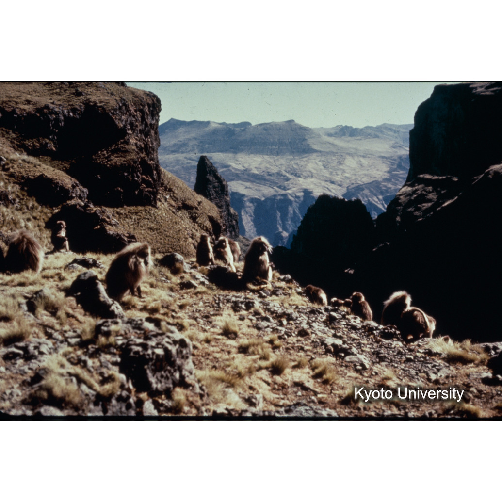 Sm　1973　R10　●[赤色シール] (1)