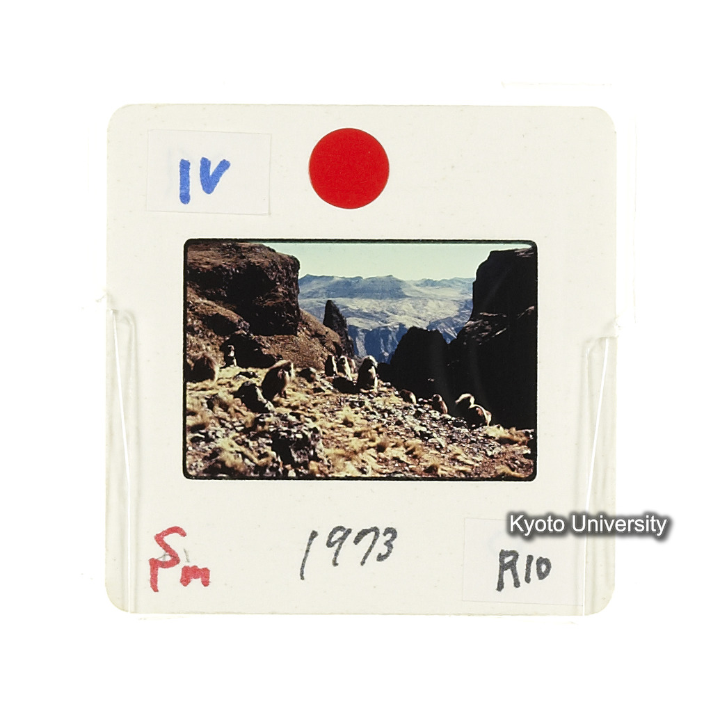 Sm　1973　R10　●[赤色シール] (2)