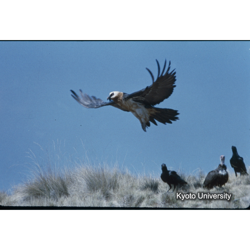 Sm　1973　R63　●[赤色シール] (1)