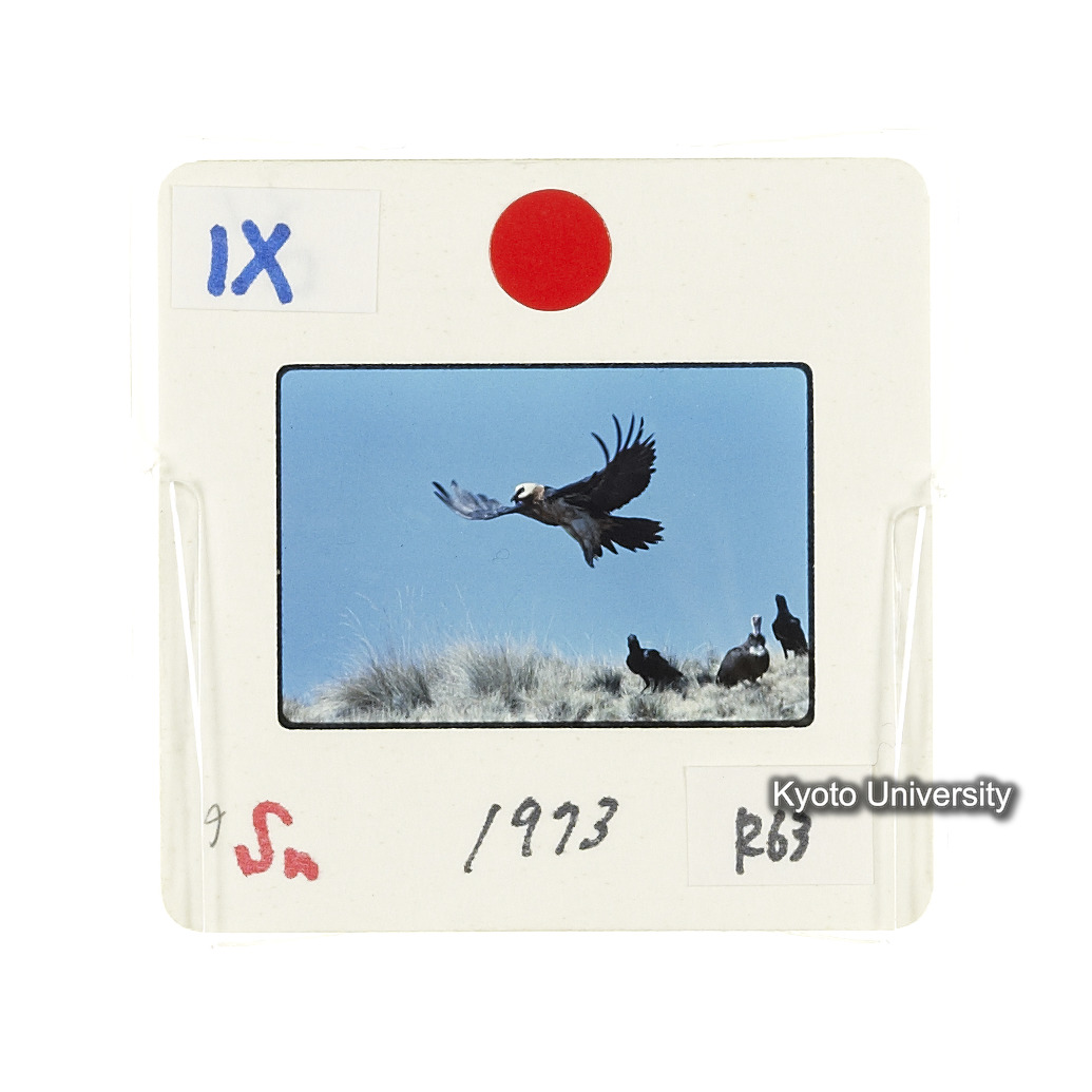 Sm　1973　R63　●[赤色シール] (2)