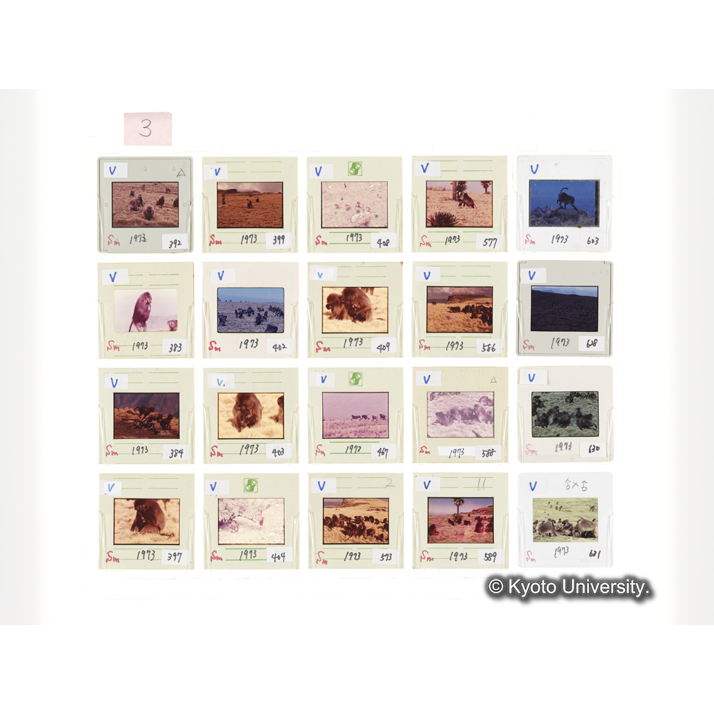 [スライドシート] 3 (1)