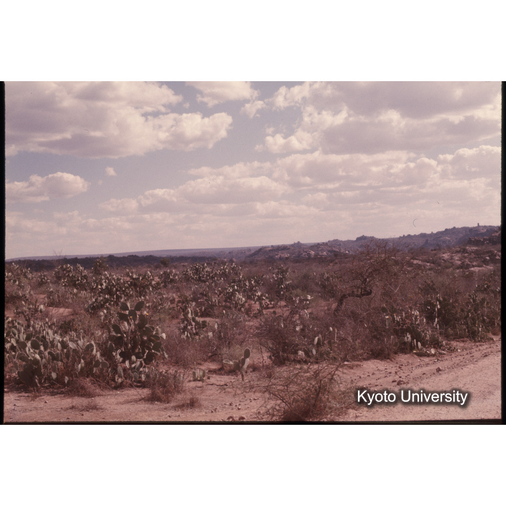 Sm　1973　1129 (1)