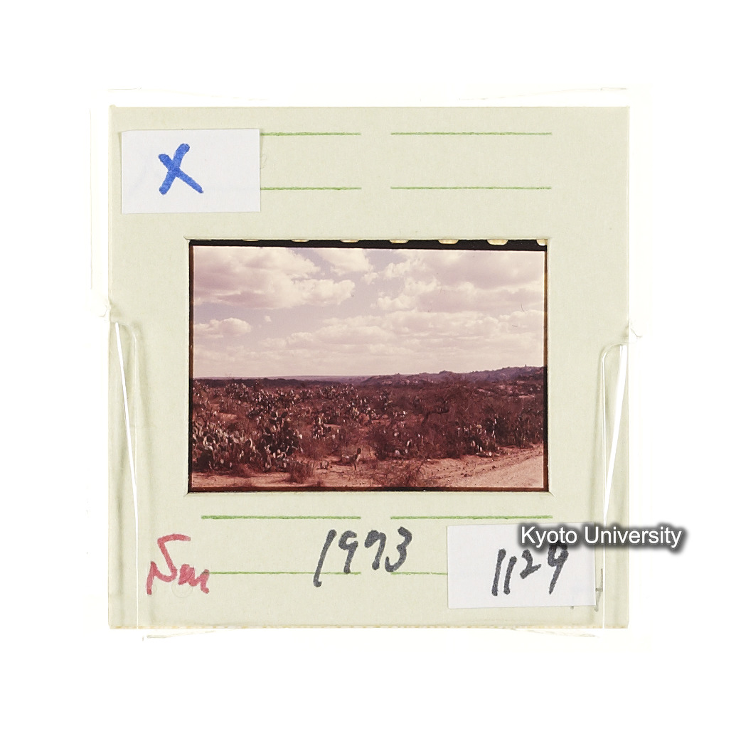 Sm　1973　1129 (2)