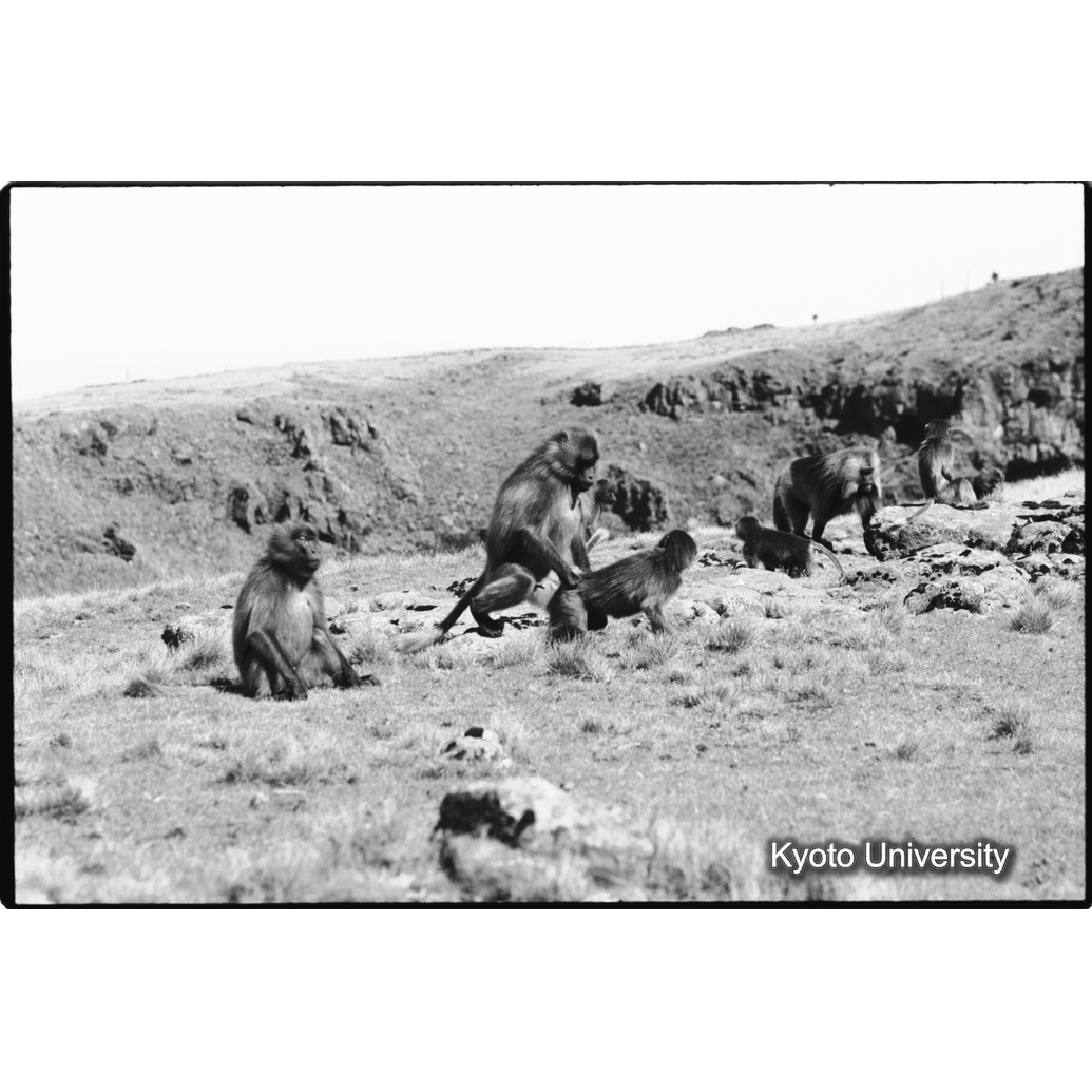 [５コマ目]「あそび（２）」 (1)