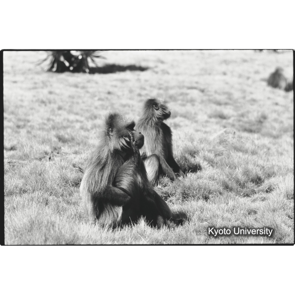 [３０コマ目]「注視」 (1)