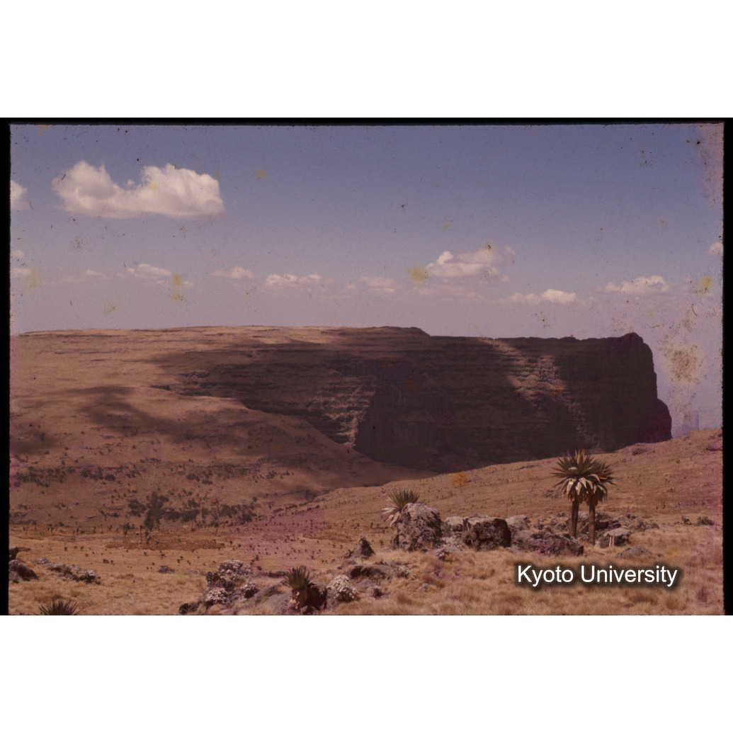 Sm　1973　1307 (1)