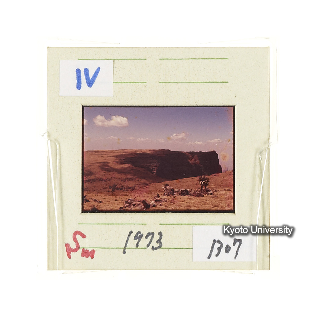 Sm　1973　1307 (2)