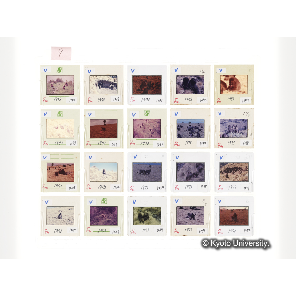 [スライドシート] 9 (1)