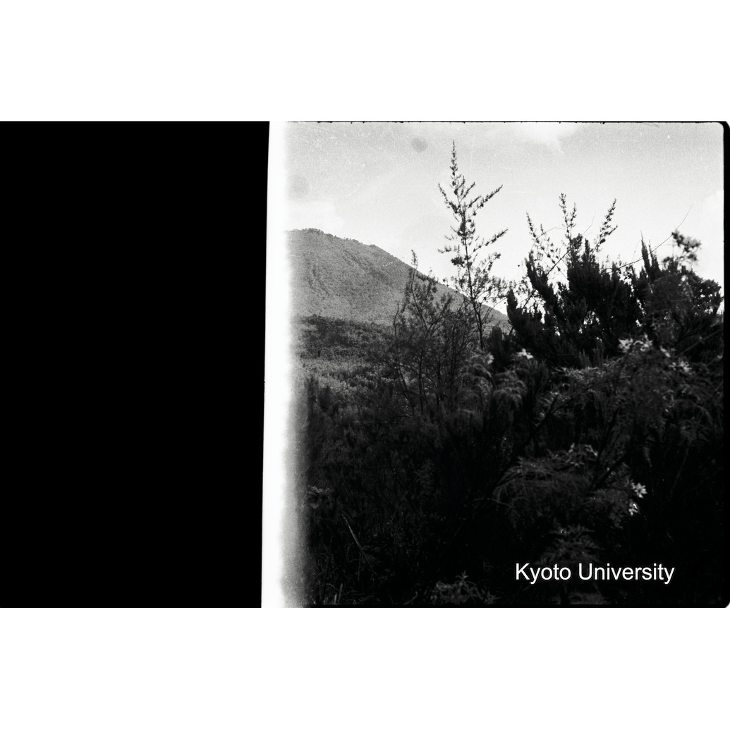 [17コマ目]「×」 (1)