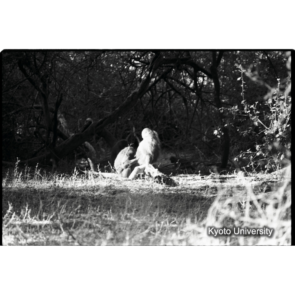 [３２コマ目]「×」 (1)