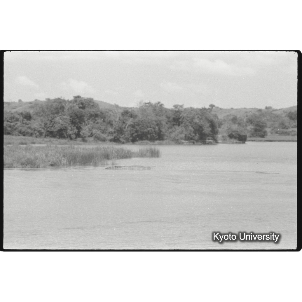 [15コマ目]「岸辺の森（２）」 (1)