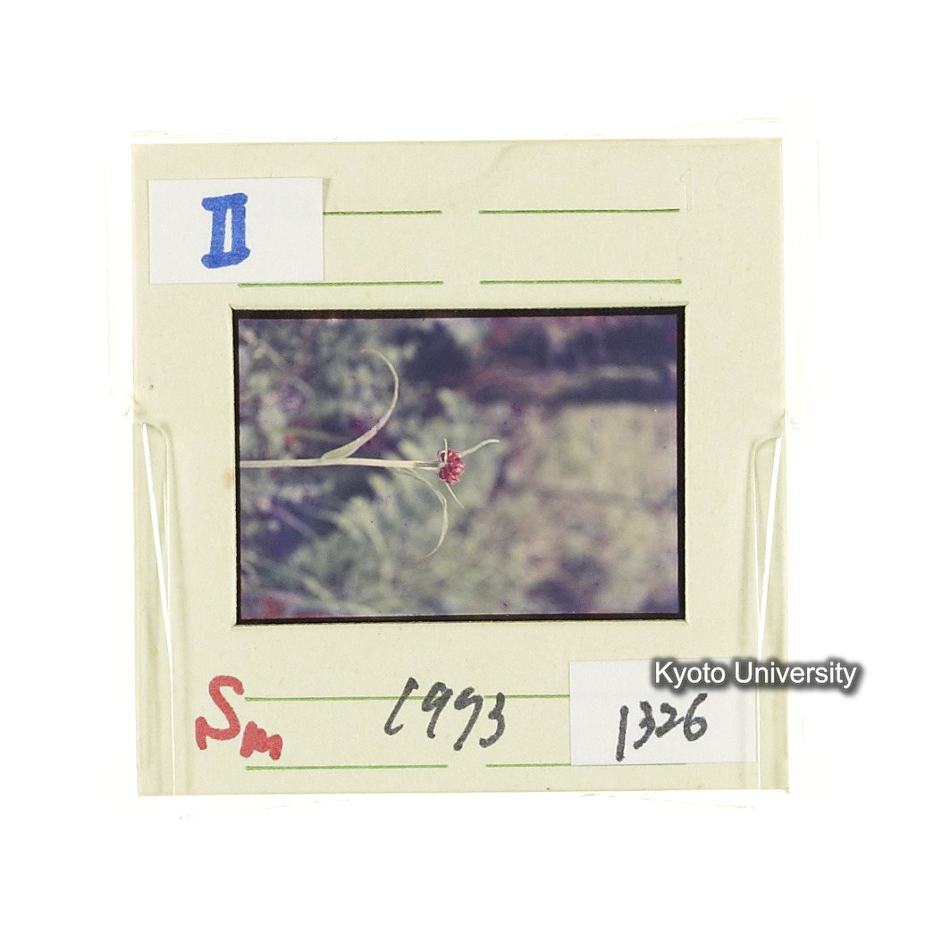 Sm　1973　1326 (2)