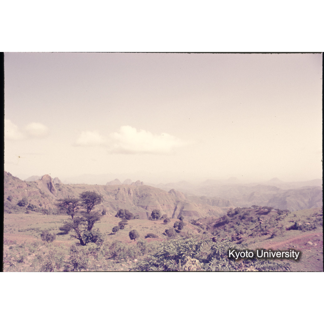 Sm　1973　1197 (1)