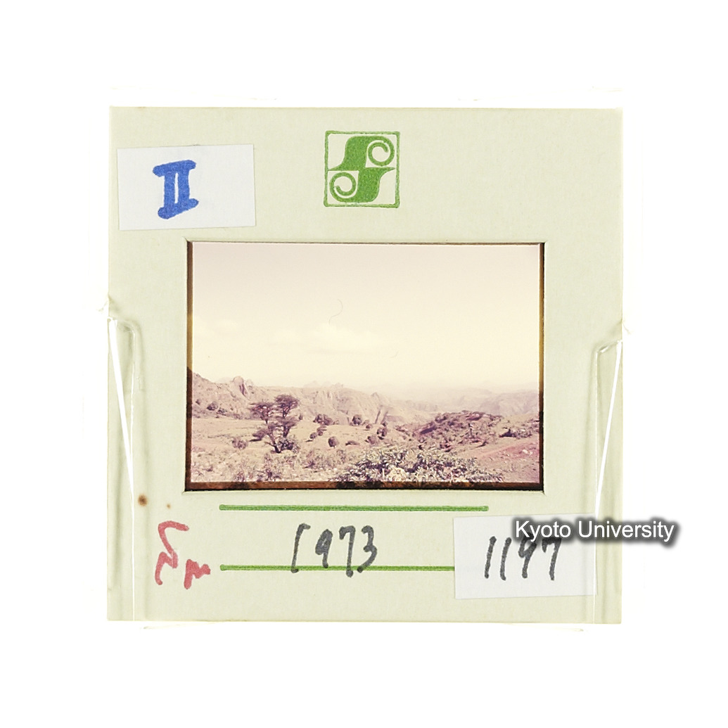 Sm　1973　1197 (2)