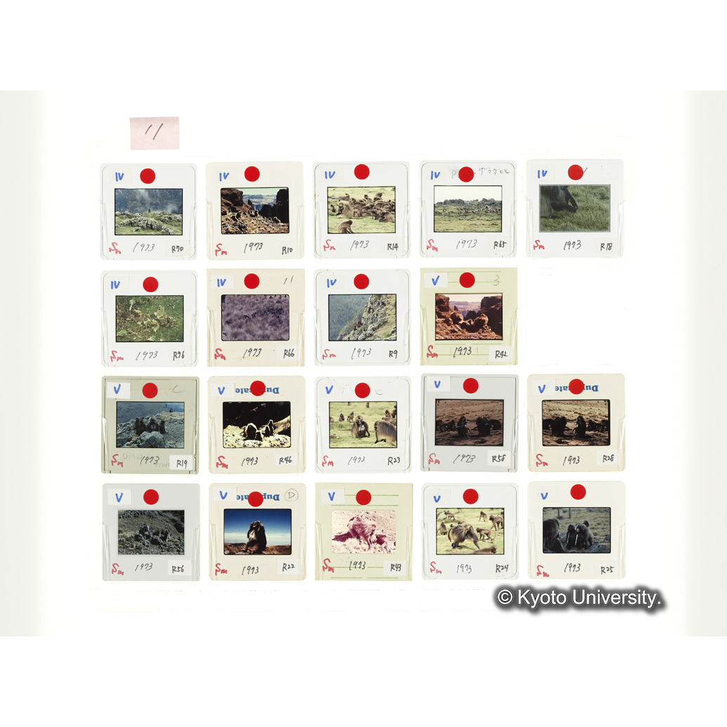 [スライドシート]11 (1)