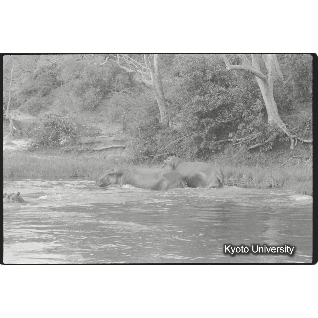 [２９コマ目]「×」 (1)