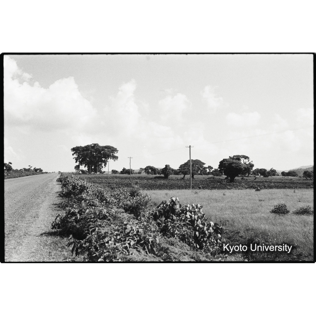 [１７コマ目]「畑（１）」 (1)