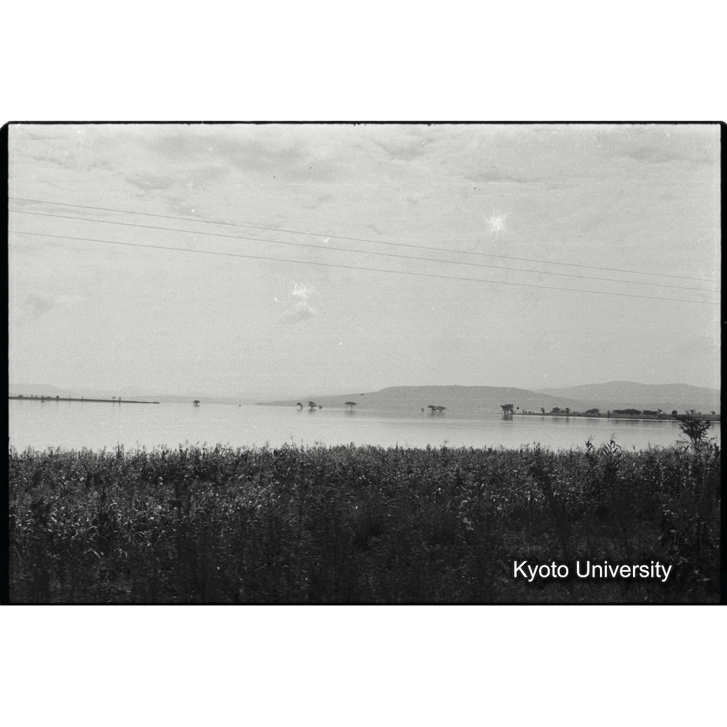 [２４コマ目]「逃げ水」 (1)