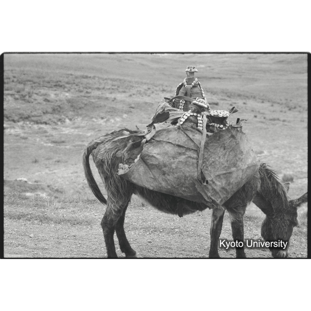 [２４コマ目]「ロバ」 (1)