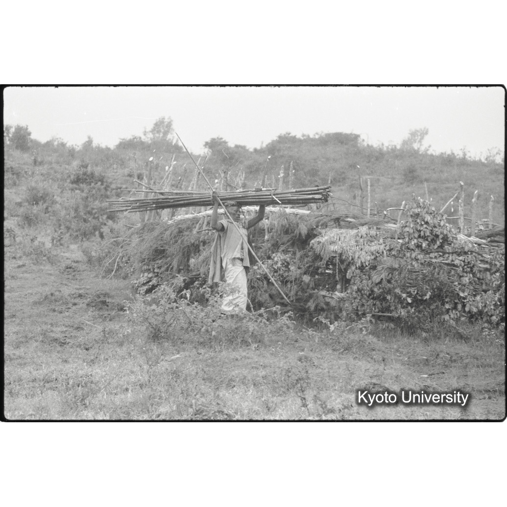 [１６コマ目]「竹を運ぶ」 (1)