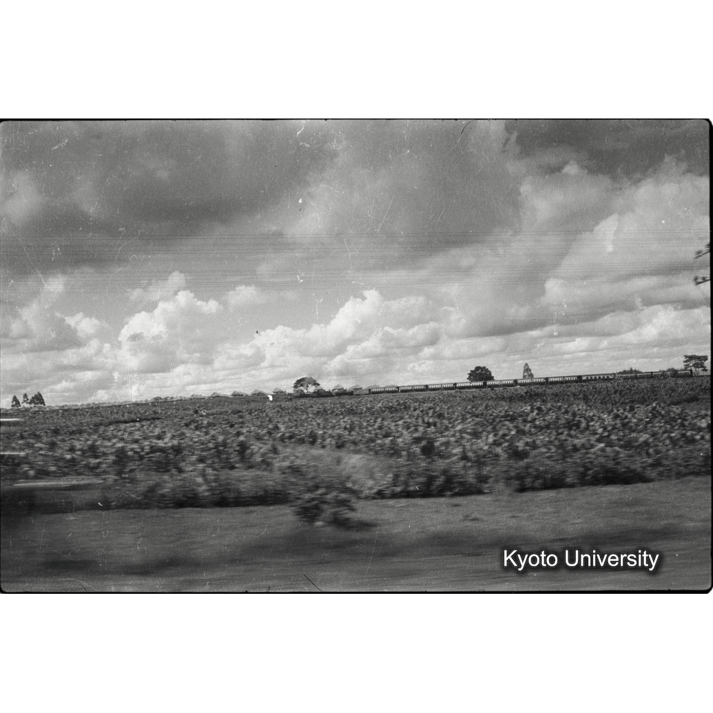 [18コマ目]「畑（１）」 (1)