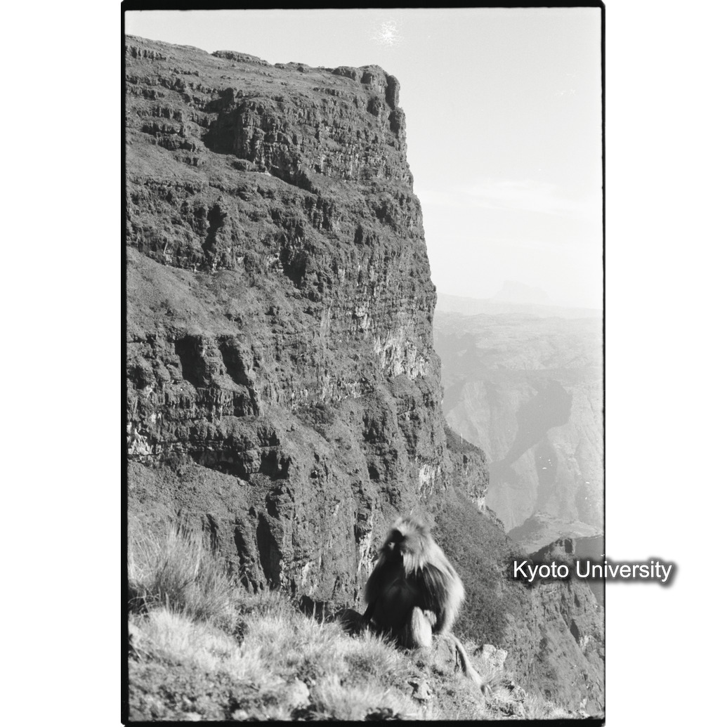 [３７コマ目]「×」 (1)