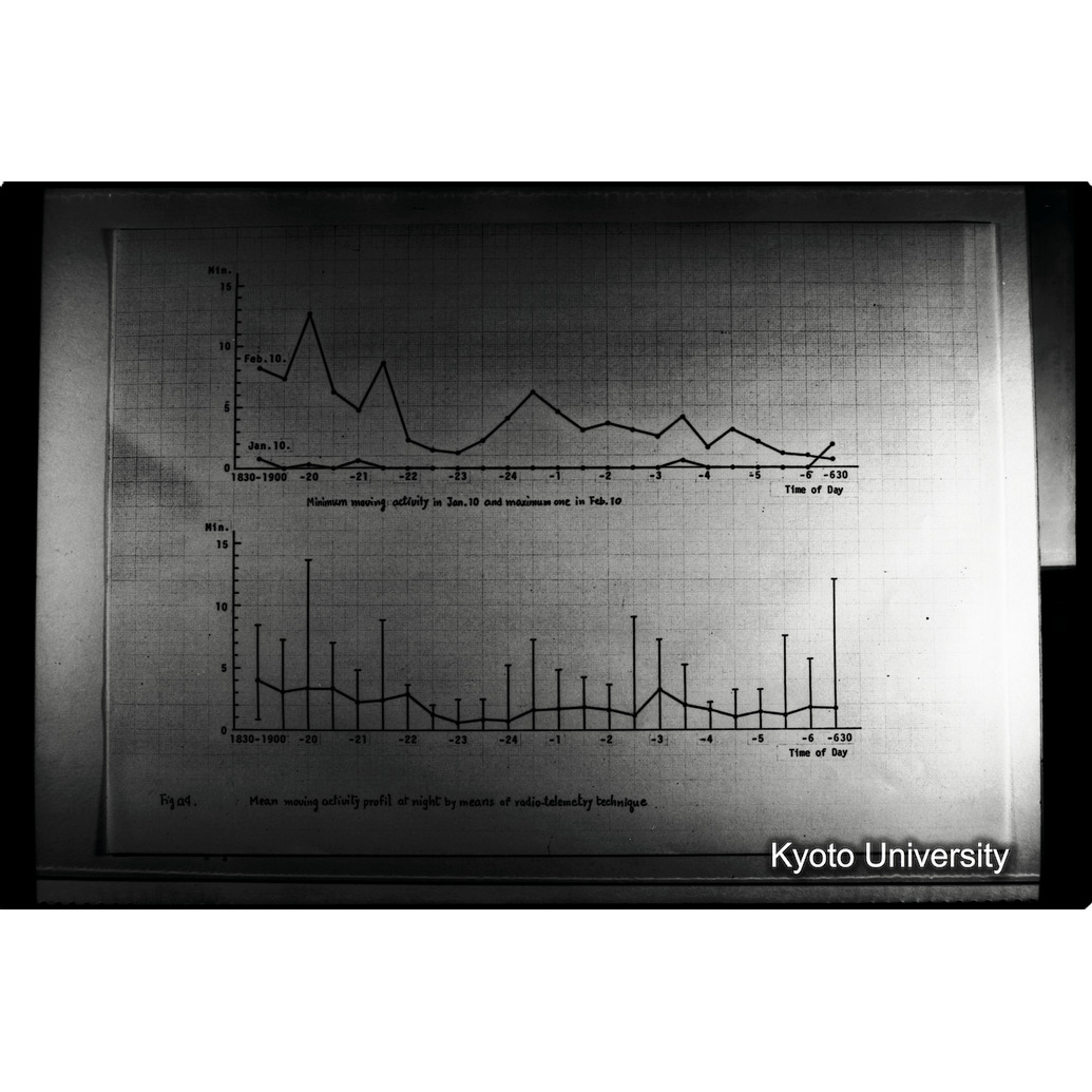 [２２コマ目]「×」 (1)
